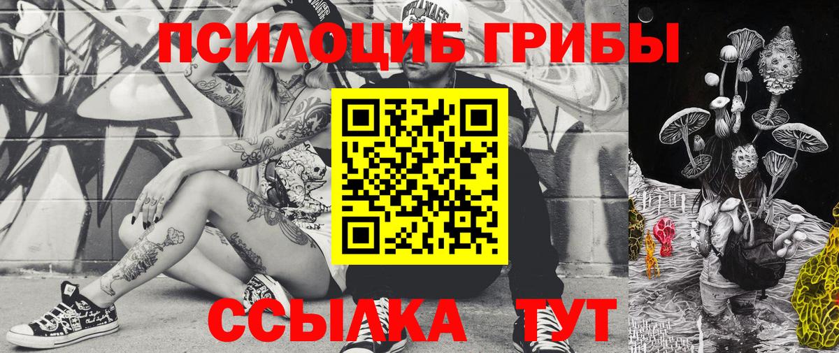 Псилоцибиновые грибы Cubensis  Вход с VPN  Галлюциногенные грибы мухоморы  Нягань 