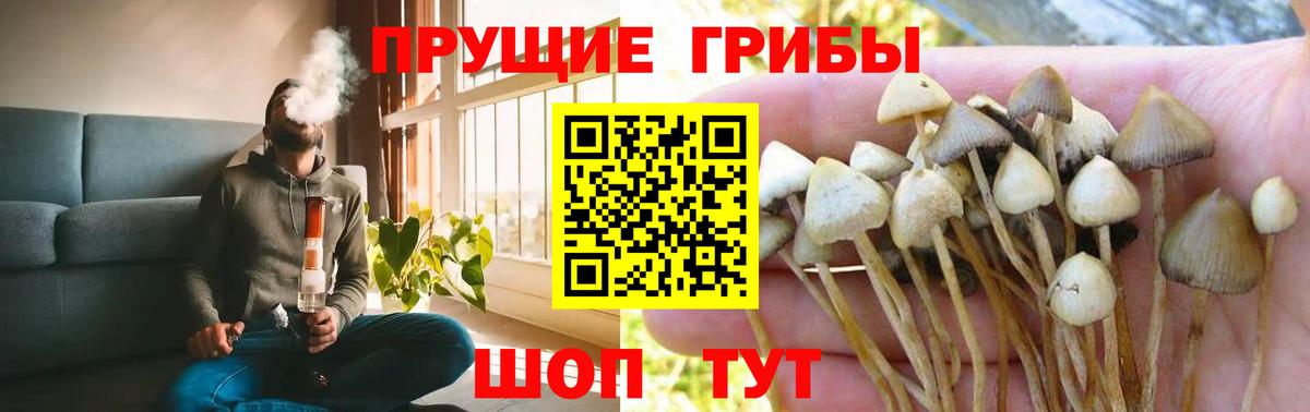 Псилоцибиновые грибы GOLDEN TEACHER Нягань